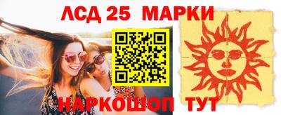 МДПВ Камышлов