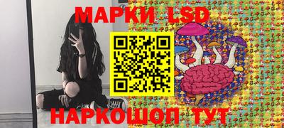 МДПВ Камышлов