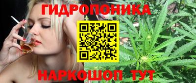 ПСИЛОЦИБИНОВЫЕ ГРИБЫ Канаш