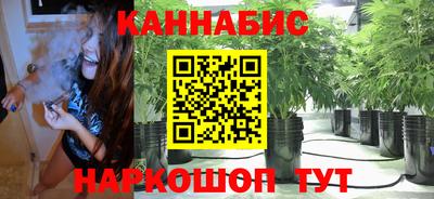 МДПВ Камышлов