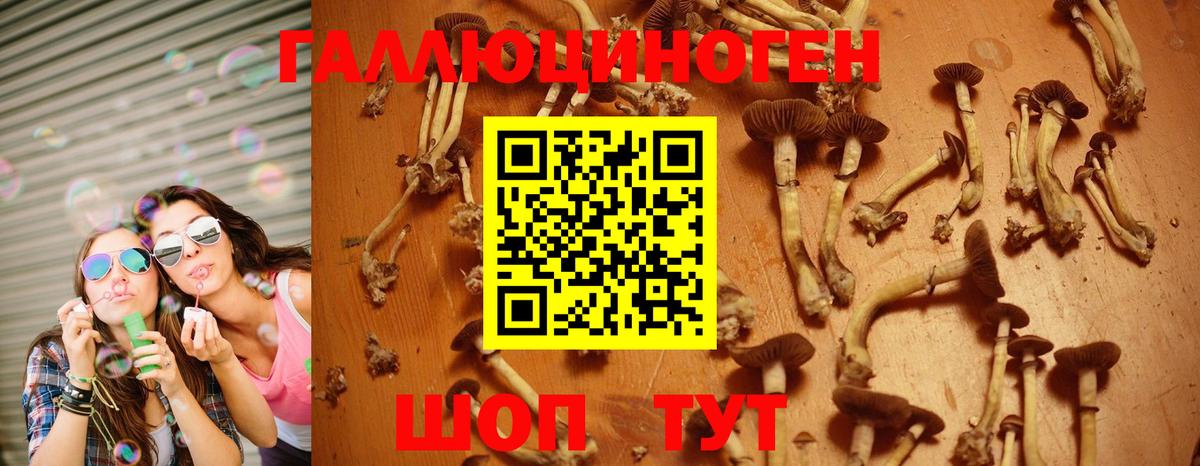 Псилоцибиновые грибы прущие грибы  где купить наркотик  Морозовск  Галлюциногенные грибы ЛСД  Вход с VPN 